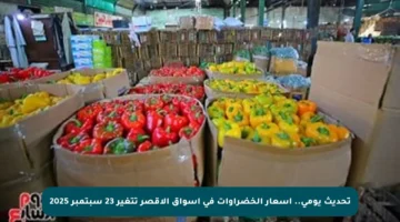 تحديث يومي.. أسعار الخضراوات في أسواق الأقصر تتغير 23 سبتمبر 2025